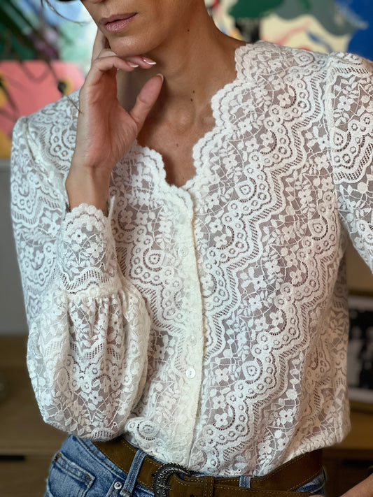 HIPPOLINE Floral Lace Knit Blouse